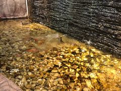 -小科自助海鲜烧肉(高区店)
