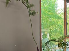 -宴武夷·匠心闽味(印象大红袍店)