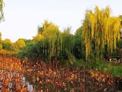 -韩湘水博园
