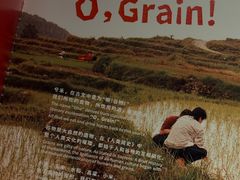-兮禾酒馆(护国路店)