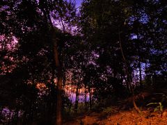 -风云岭森林公园