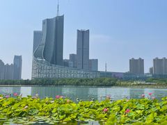 -天鹅湖体育公园