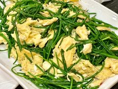 -靖远尕六美味羊羔肉