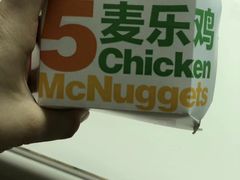 -麦当劳(新洲南路店)