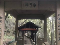 -严子陵钓台(富春江小三峡)