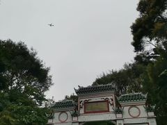 -深圳国际园林花卉博览园