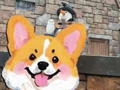 -奥兰多环球影城