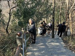 -紫金山山顶公园