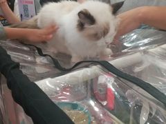 -凯德广场(学府店)