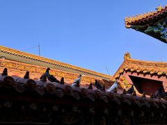 -大悲禅寺