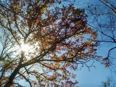 -叠溪松坪沟景区