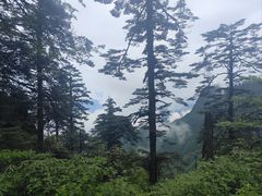 -瓦屋山景区
