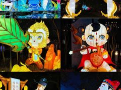 -星湖旅游景区七星岩