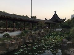 -花溪公园