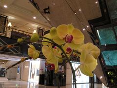 -广州花园酒店