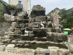 -大岭沟猕猴桃谷风景区