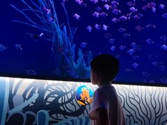 -沈阳海洋探索中心