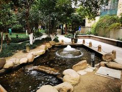 -浙江大学医学院附属第二医院(解放路院区)