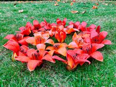 -文华公园(禅城区)