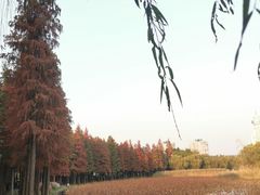 -桂满陇天书(南京德基旗舰店)