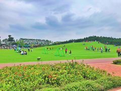 -迪茵湖田家舍生态农场