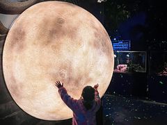 -顺德南宏海立方海洋公园
