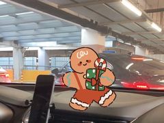 -虹桥火车站-停车场