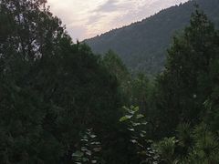 -府君山公园