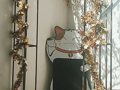 -喵屿·大理花园猫咖