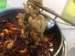 -蛙两只美蛙鱼头火锅(恒茂店)