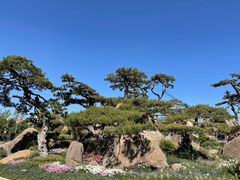 -罗红摄影艺术馆