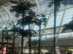 -合肥新桥国际机场-航站楼
