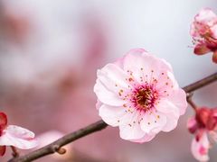 -上海辰山植物园