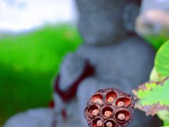 -上海万佛讲寺-停车场