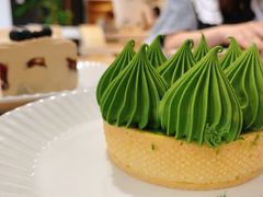 抹茶挞-猫里有甜