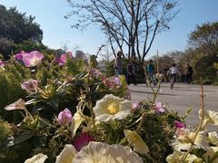 -云溪植物园