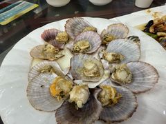 -望海潮海鲜店 特色家常菜(在海一方店)