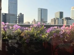 -Mercato莫卡多露台餐厅与酒吧(K11店)