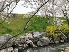 -羊山湖公园