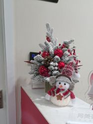 -上海玫瑰医疗美容医院