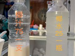 -洪馨椰子