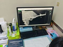 -爱妮康宠物医院·干细胞免疫细胞·肿瘤·心脏(张江店)