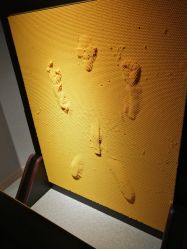 -幻贝家儿童乐园(苏州中心店)