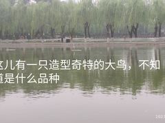 -中国农业博物馆