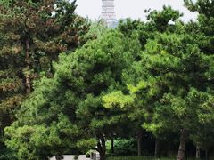 -北坞公园