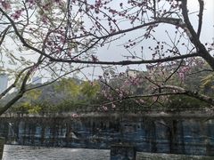 -重庆彩云湖湿地公园