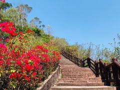 -广州莲花山旅游区
