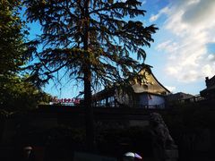 -扬州狮子楼·非遗淮扬菜(东关街店)