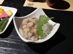 -鲤·鮨KOISUSHI