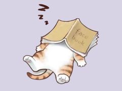 -翊宠yipet猫狗购宠庄园犬舍•猫舍